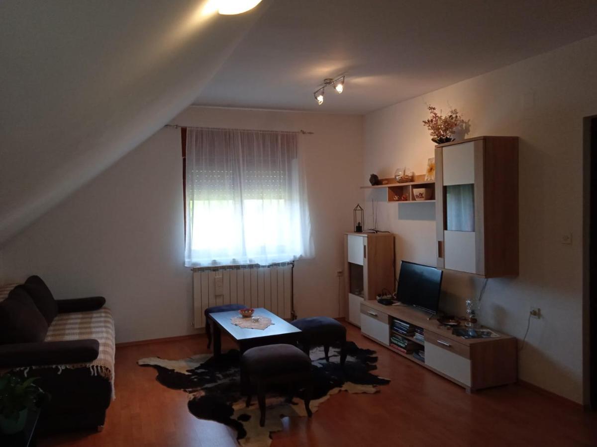 Апартаменты Apartman Skender 3* Равна-Гора Экстерьер фото